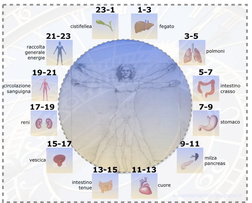 I-RITMI-DEL-CORPO-1024x827