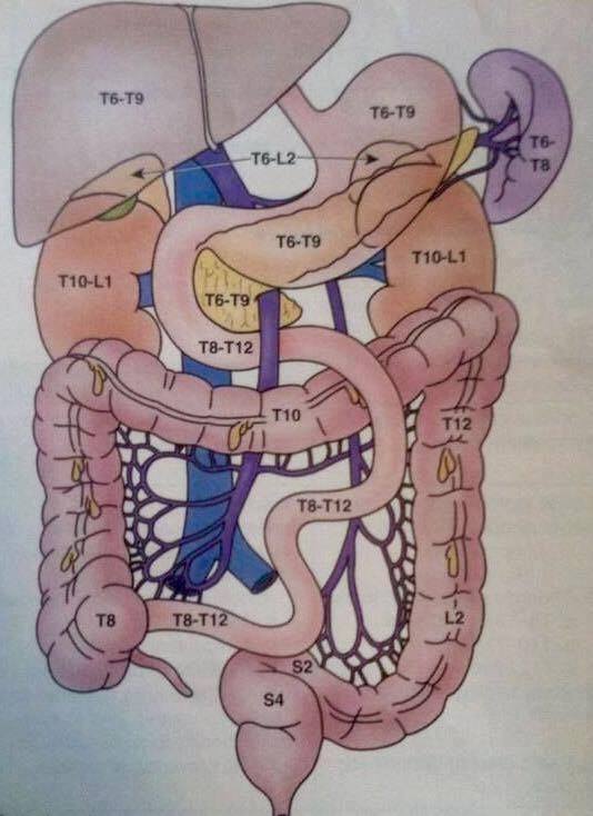 15871466_1838180006458710_7482370663421179769_n-1